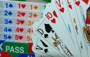 Tournoi Petite Camargue Uzès